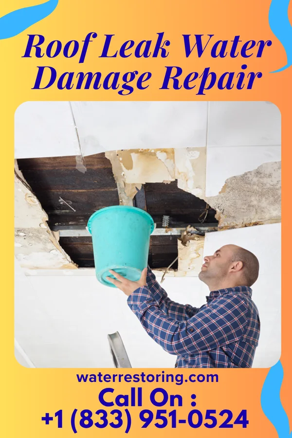 Roof Leak Water Damage Repair in Hot Springs, MT